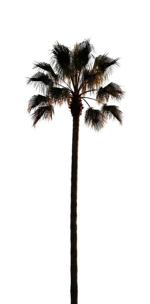 Palm Left